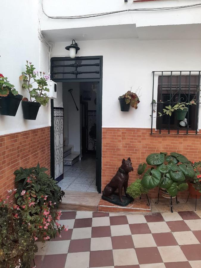 ベヘール・デ・ラ・フロンテーラ Casa Mariヴィラ エクステリア 写真
